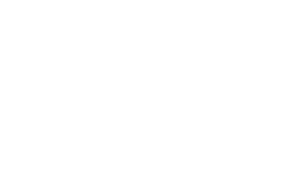 USA Dodgeball