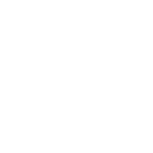 USA Dodgeball Premier Tour / Round 2 (Foam)