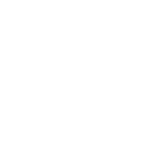 Category: General Youth Dodgeball National Championship